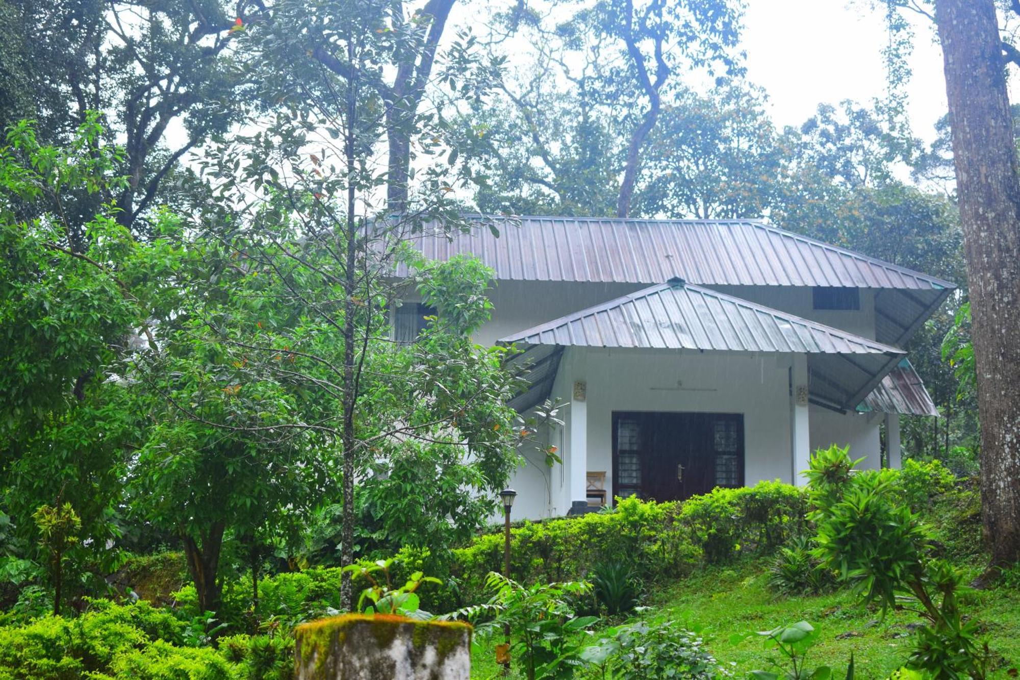 Elixir Woods Luxury Resort And Spa, Munnar Luaran gambar
