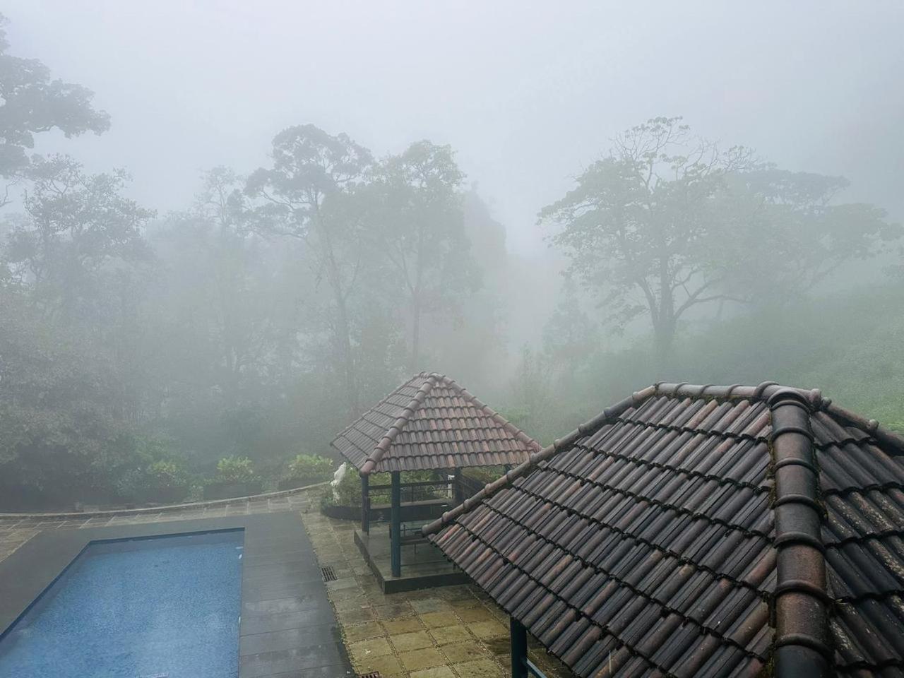 Elixir Woods Luxury Resort And Spa, Munnar Luaran gambar